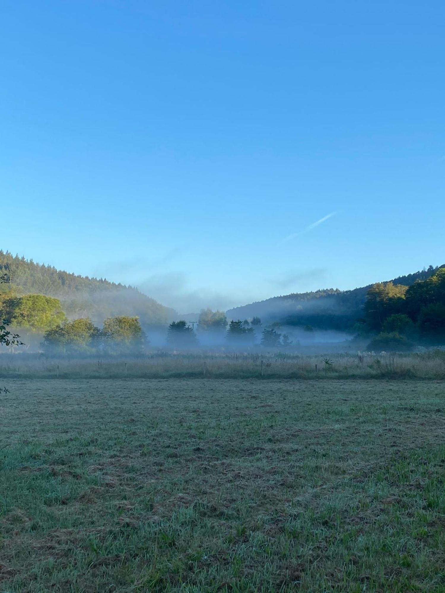Ferienhaus Vulkaneifel Abtei Himmerod Grosslittgen ภายนอก รูปภาพ