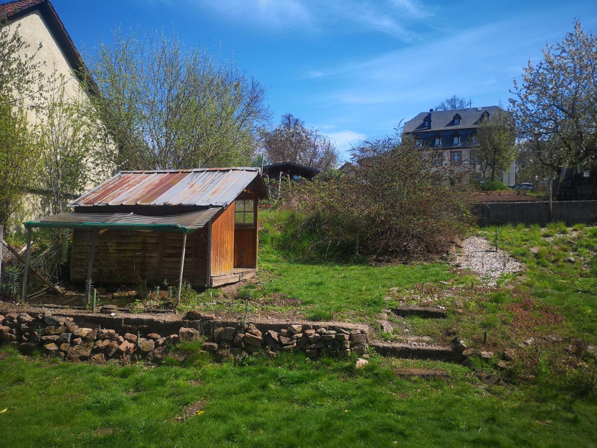 Ferienhaus Vulkaneifel Abtei Himmerod Grosslittgen ภายนอก รูปภาพ