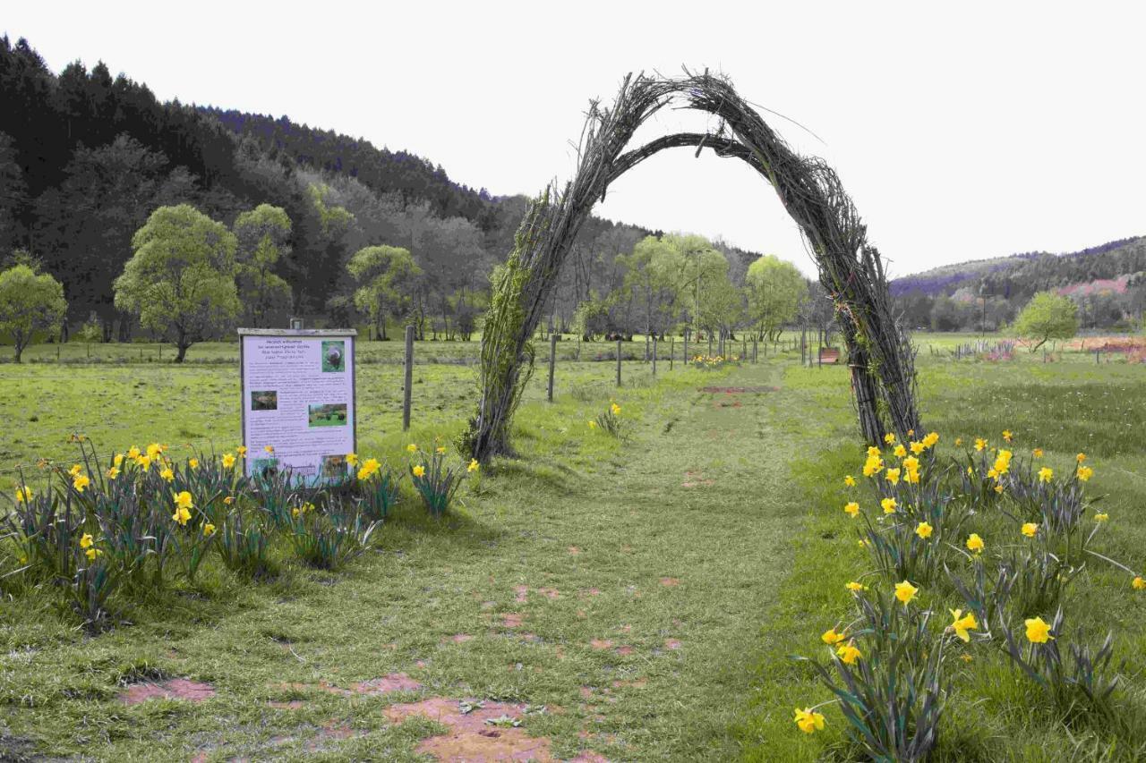 Ferienhaus Vulkaneifel Abtei Himmerod Grosslittgen ภายนอก รูปภาพ